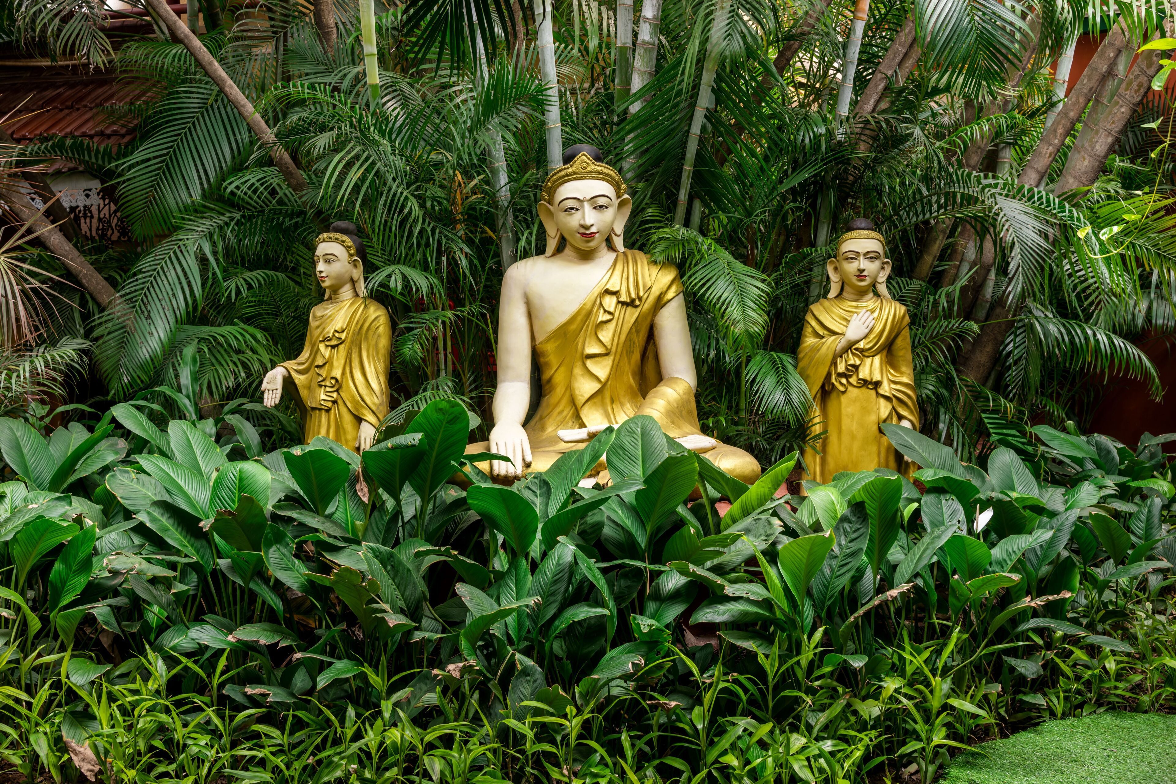 Una estatua dorada de Buda rodeada de exuberante vegetación.