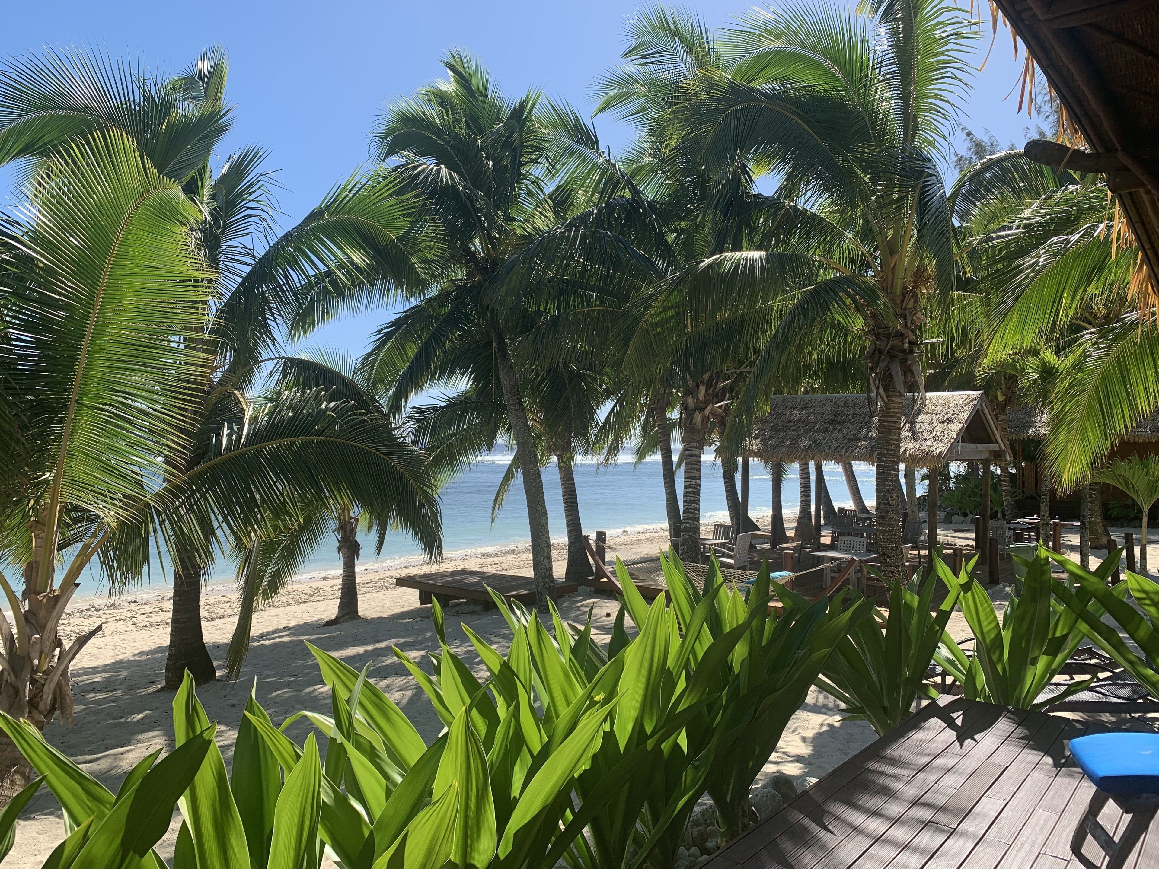 Absolute Beachfront Bungalow | Vue de la chambre