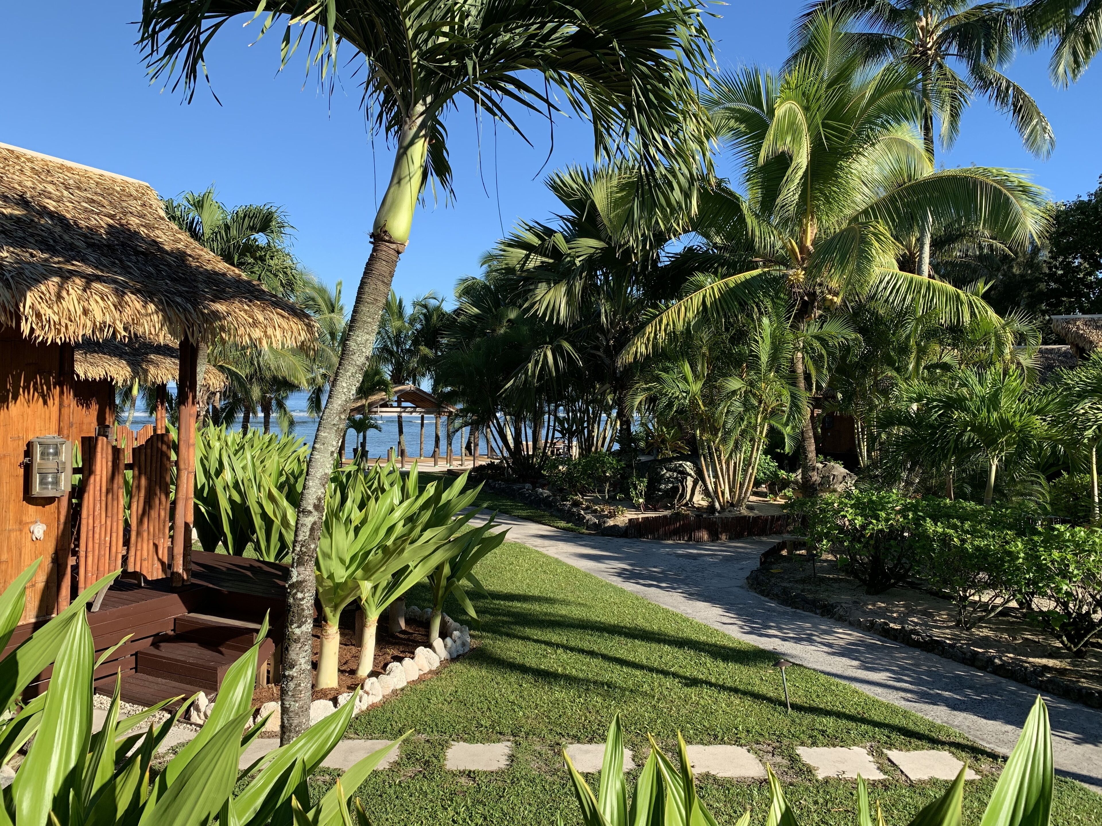 Oceanview Bungalow | Terrace/patio