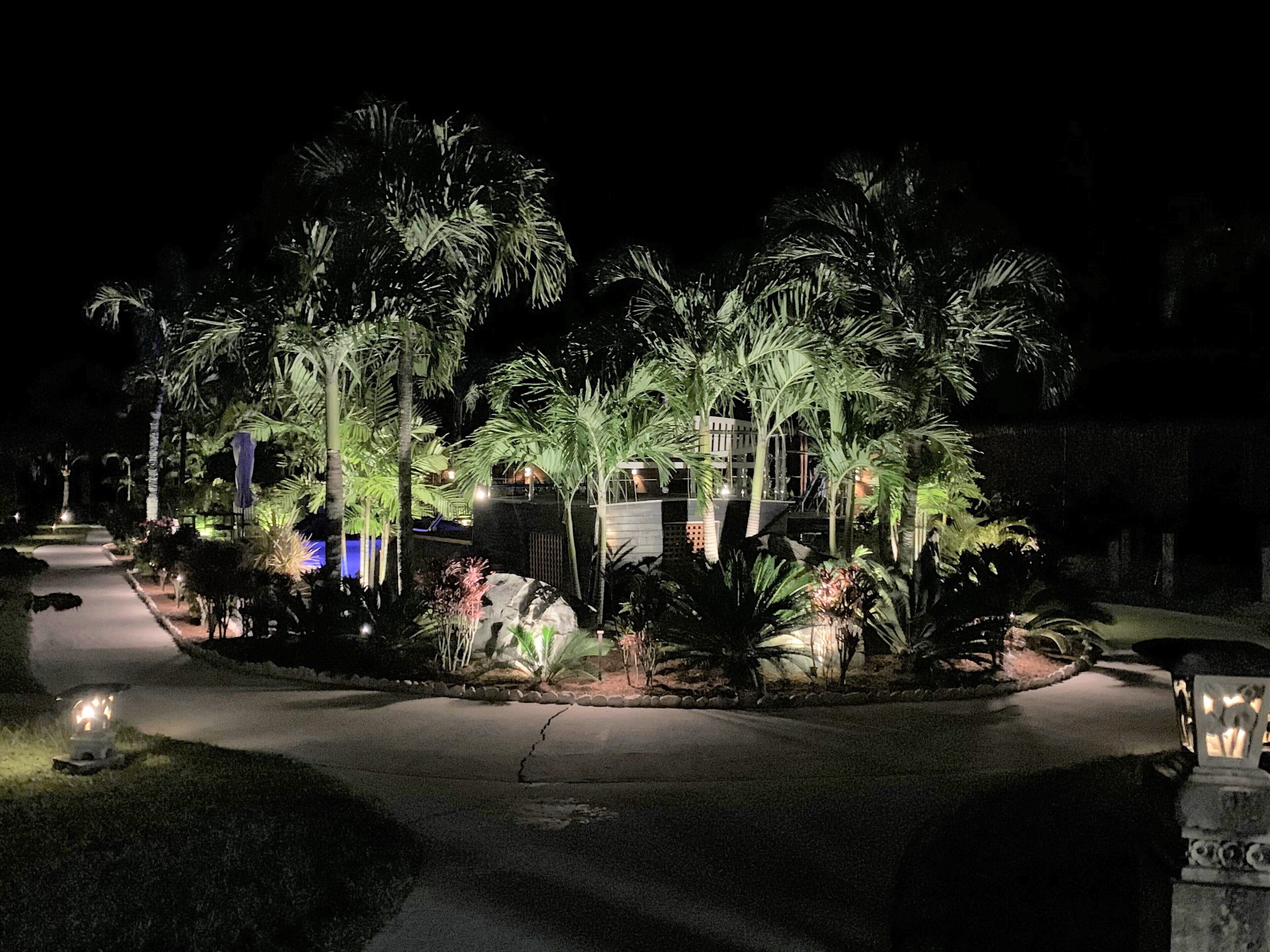 A nighttime view of a resort with a paved pathway, palm trees, and illuminated buildings.
