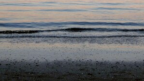 A beach with calm water and a clear sky. - Hotel Angelini (Rimini)