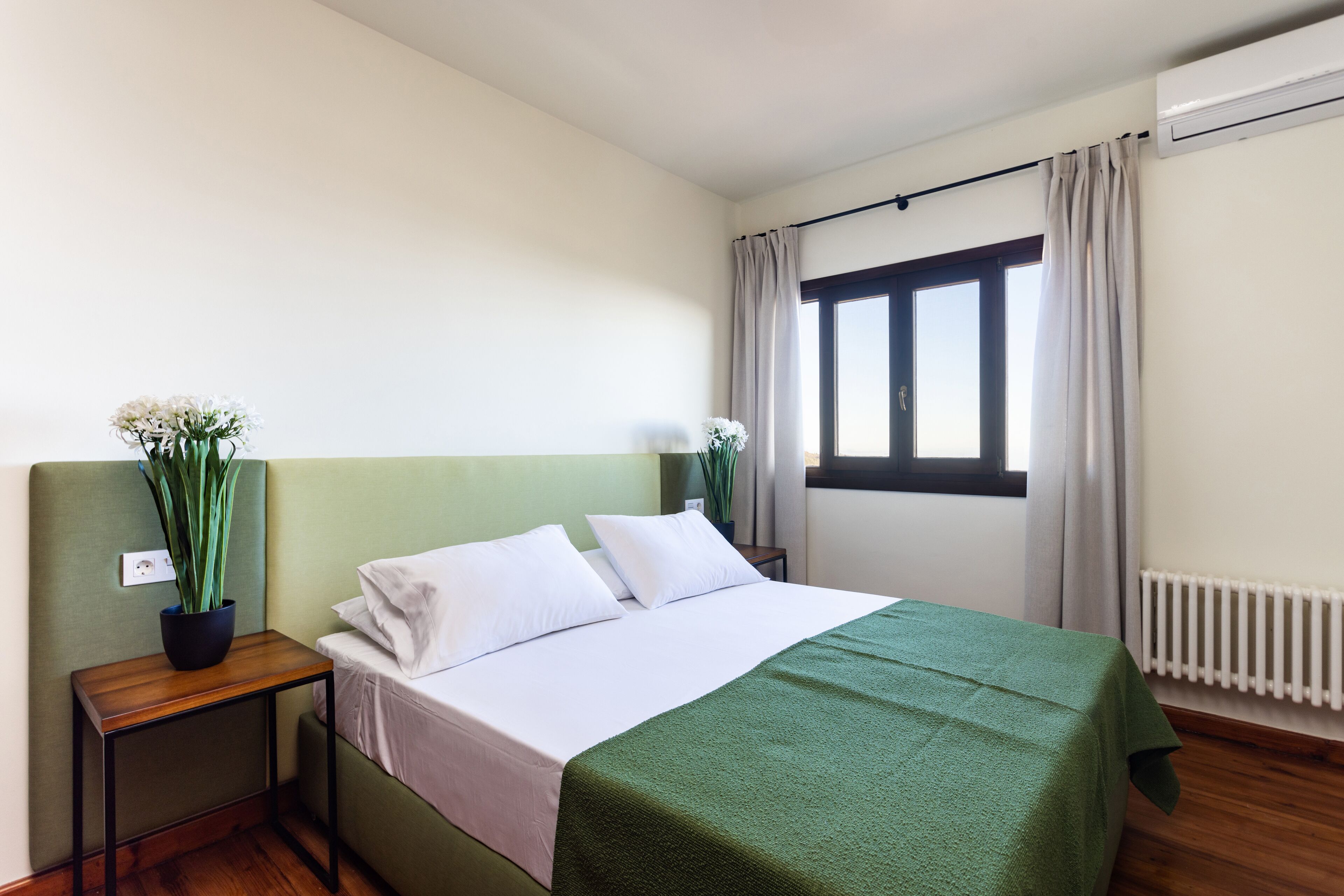 Habitació d'hotel ordenada amb un llit, una tauleta de nit, una planta en test i una finestra amb cortines.