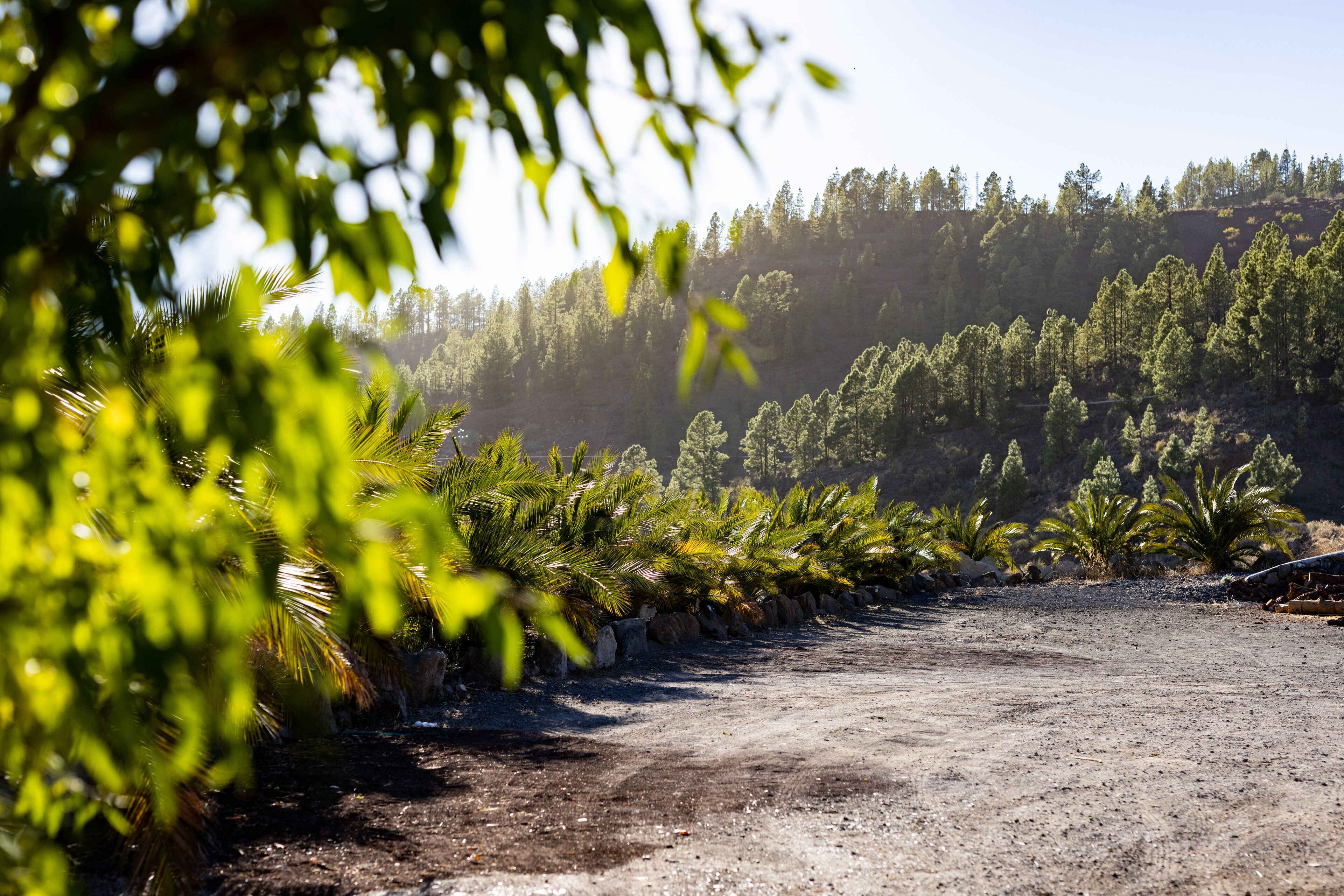 Photo - Hotel Alta Montaña