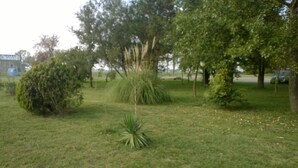 A grassy area with various trees and shrubs, including a prominent coniferous tree and a small palm-like plant. - Hotel San Vitale (Medicina)