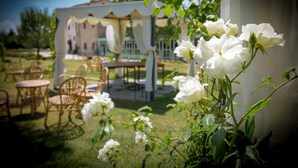 Ein Garten mit weißen Rosen, Gartenmöbeln und einem Gebäude im Hintergrund.