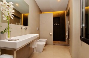 Douche, douche à « effet pluie », sèche-cheveux, serviettes fournies