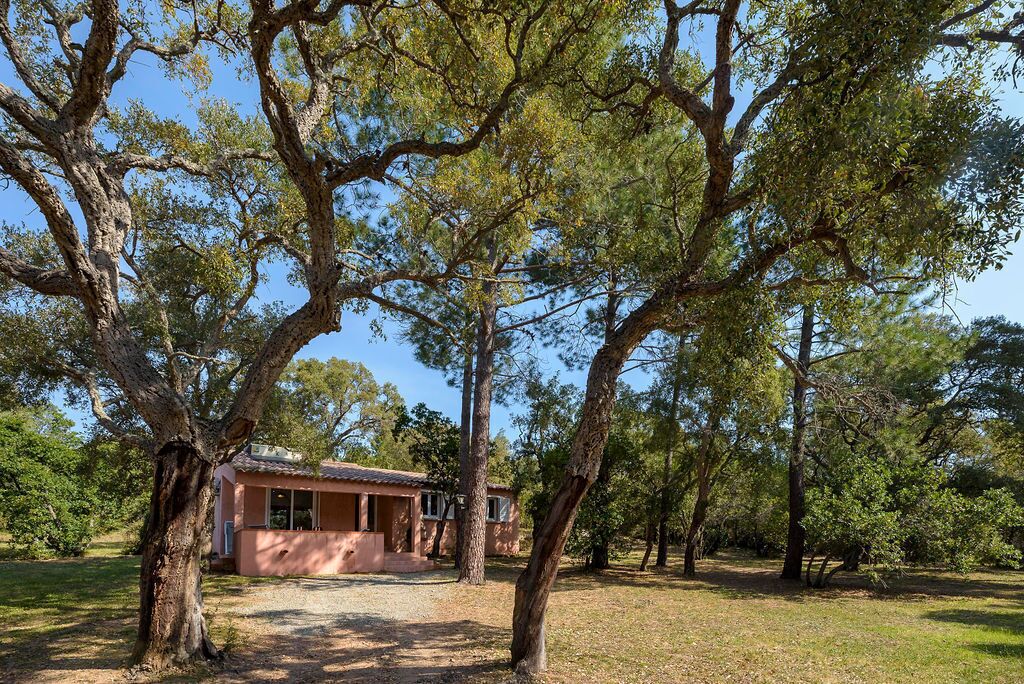 A rustic house surrounded by large trees in a natural setting.