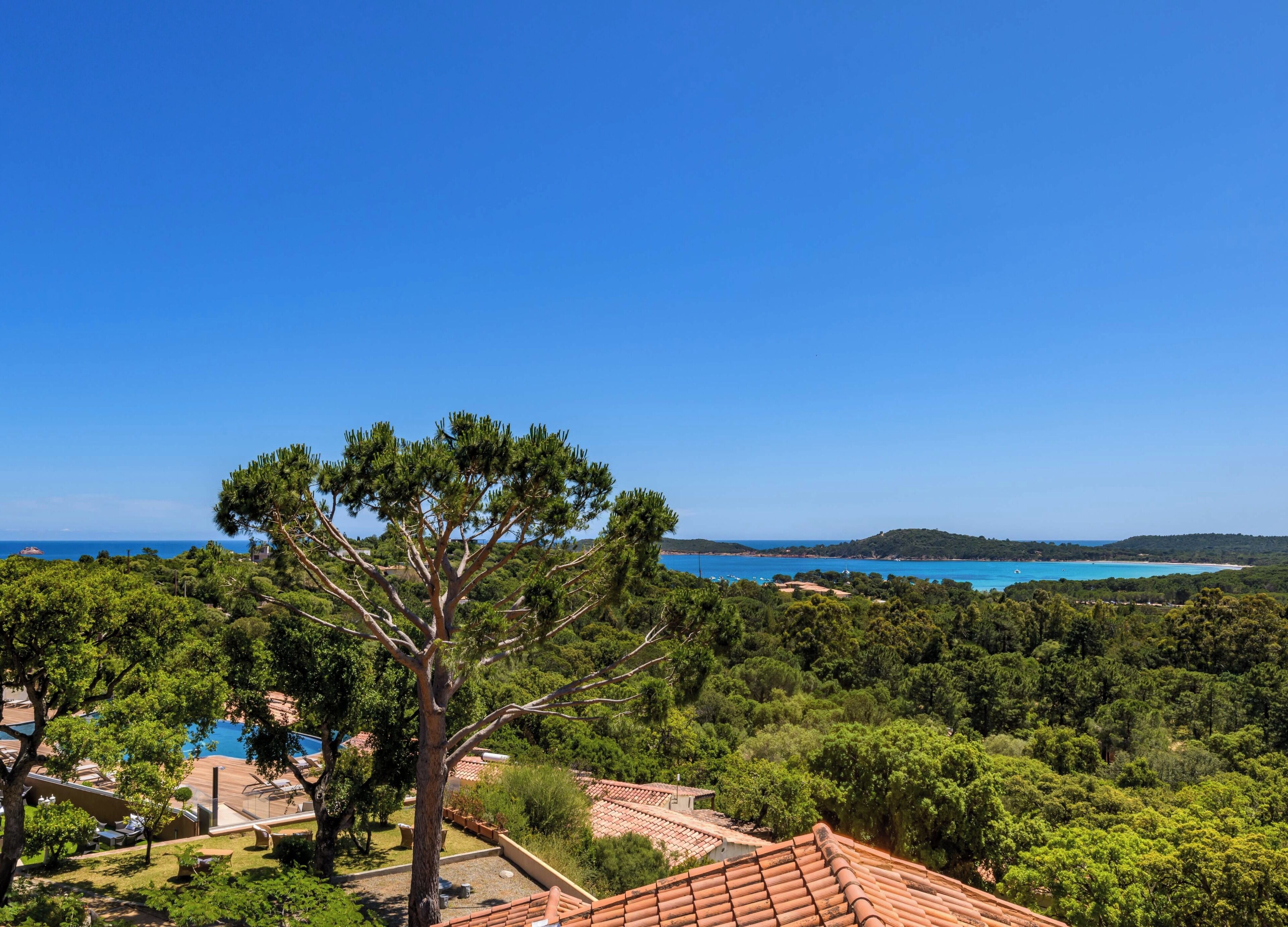 Une propriété située sur la côte, dotée d’un grand arbre, de toits en terrasses et offrant une vue sur la mer.