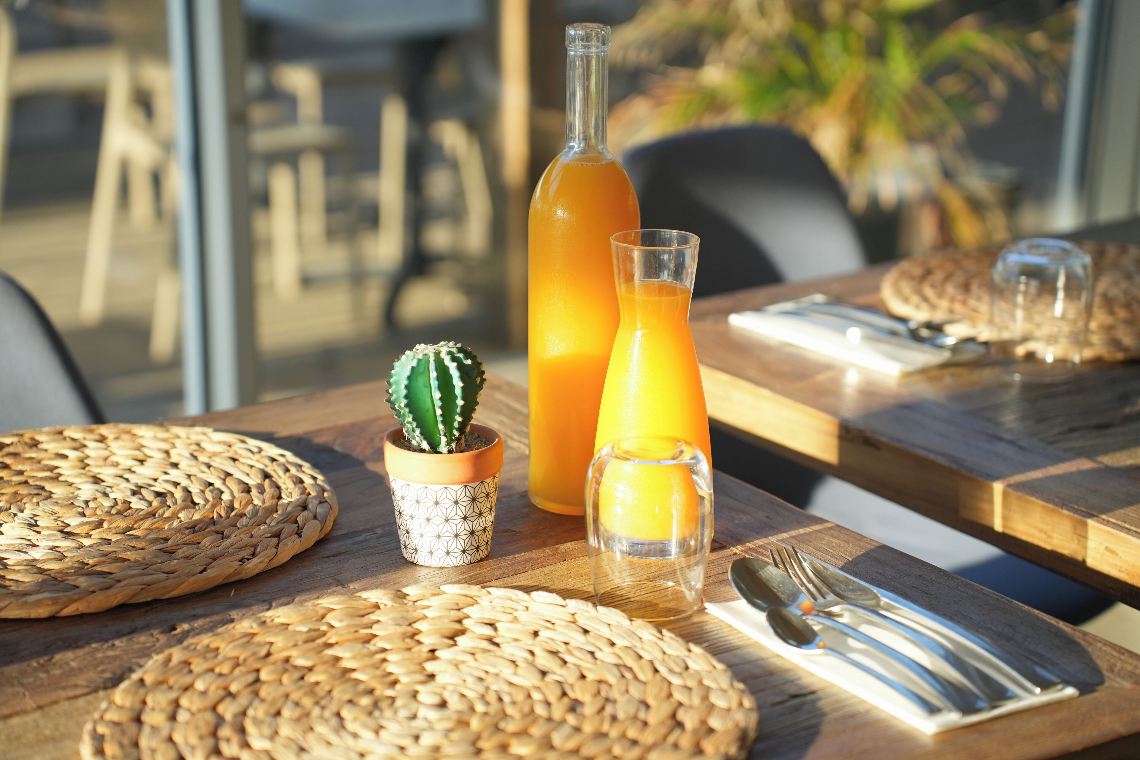 A table with a woven placemat, a glass of orange juice, a bottle of orange juice, a small potted cactus, and cutlery.