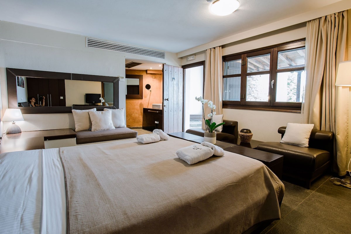 Suite ejecutiva | 1 habitación, minibar y caja de seguridad en la habitación