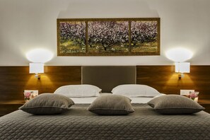 Minibar, in-room safe, individually furnished, desk - 12 Months Luxury Resort (Zagora-Mouresi)