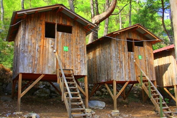 Exterior - Saban Tree Houses (Kumluca)