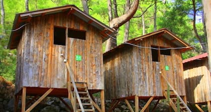 Saban Tree Houses