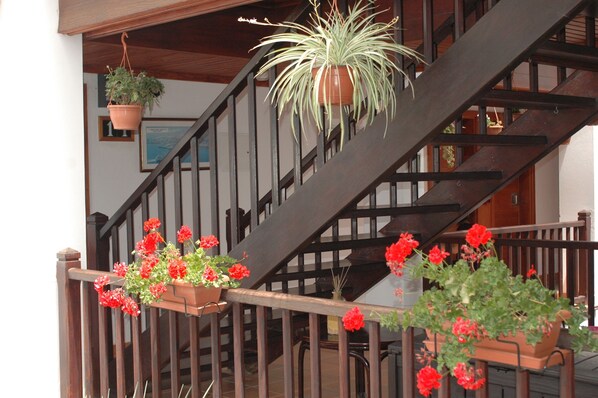 Una escalera de madera con barandilla, plantas en macetas y flores rojas.