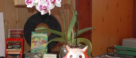 A table with a potted orchid, a decorative owl, and various brochures.