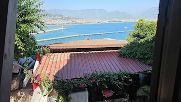 Habitación doble | Vista desde la habitación