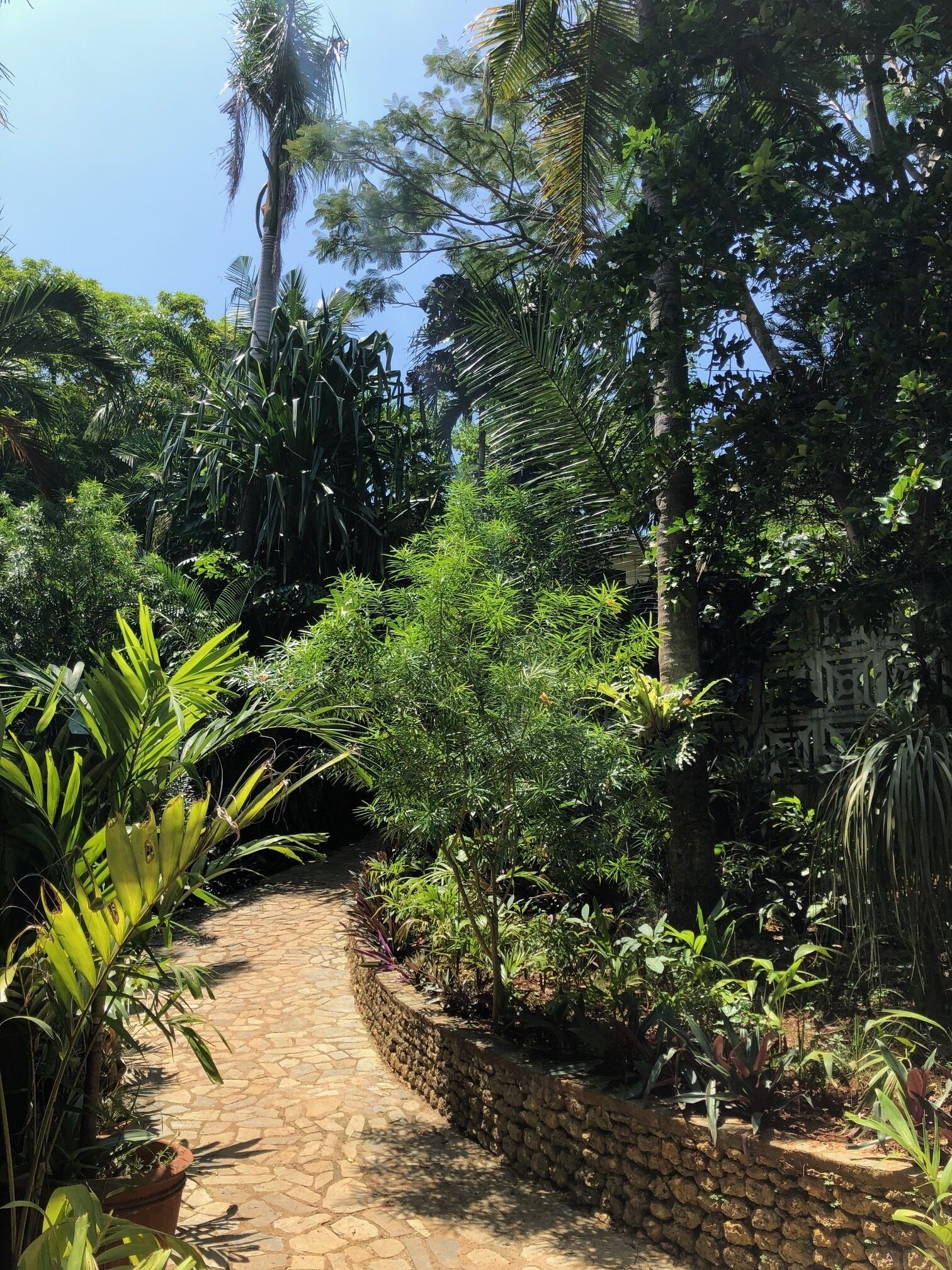 Jardin