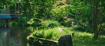 Hakone Hisui