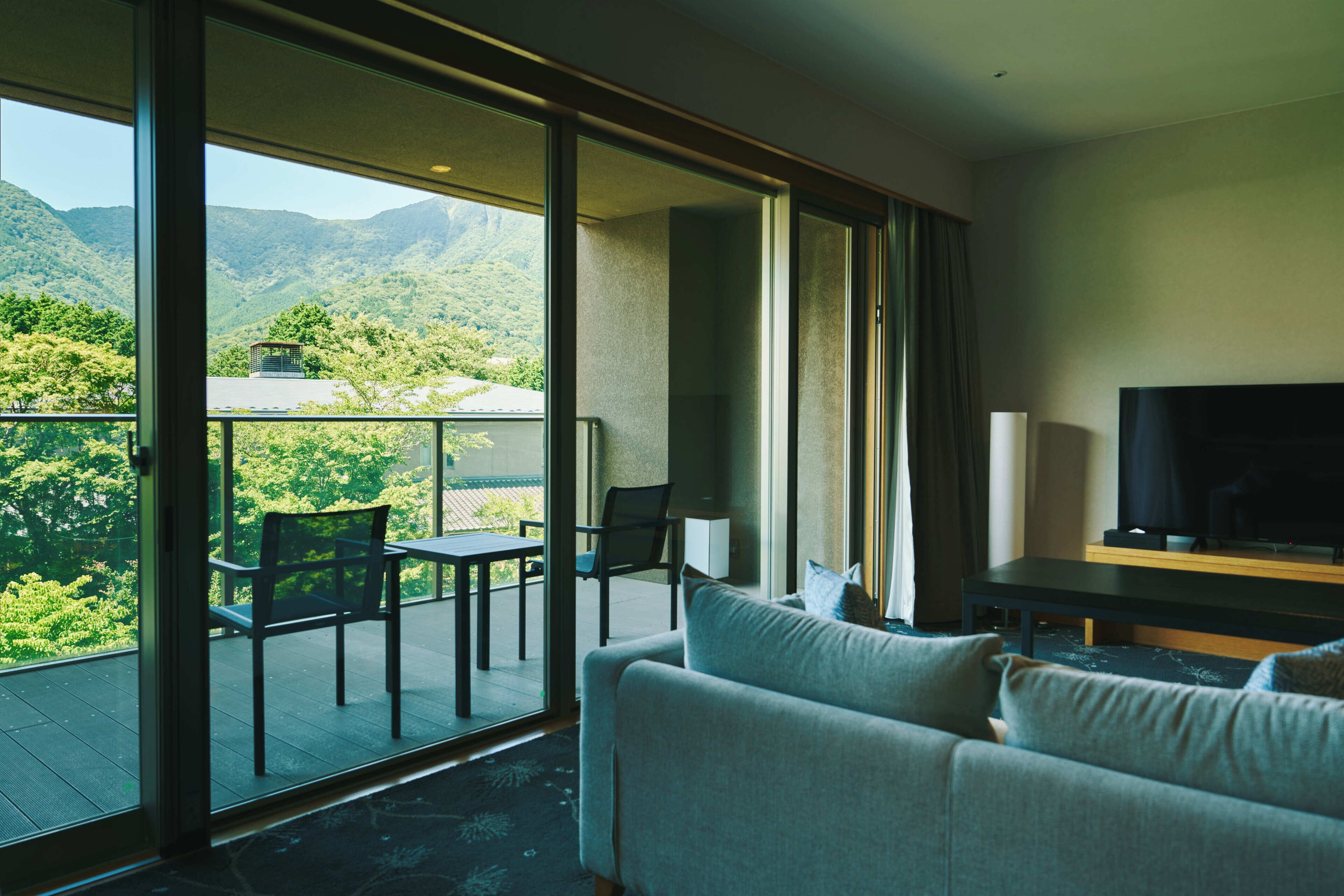 western-style room with indoor hot spring bath and garden view (2 persons max.), non smoking | free minibar, in-room safe, iron/ironing board, free wifi