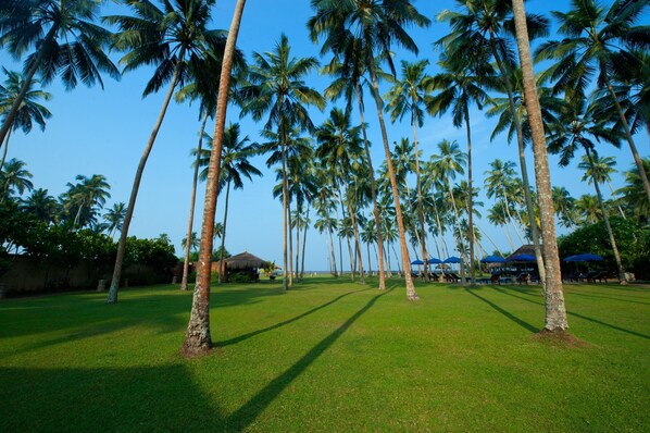 Un resort tropical con palmeras, un césped y algunas sombrillas de playa.