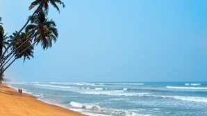 Una playa con palmeras y olas del océano.