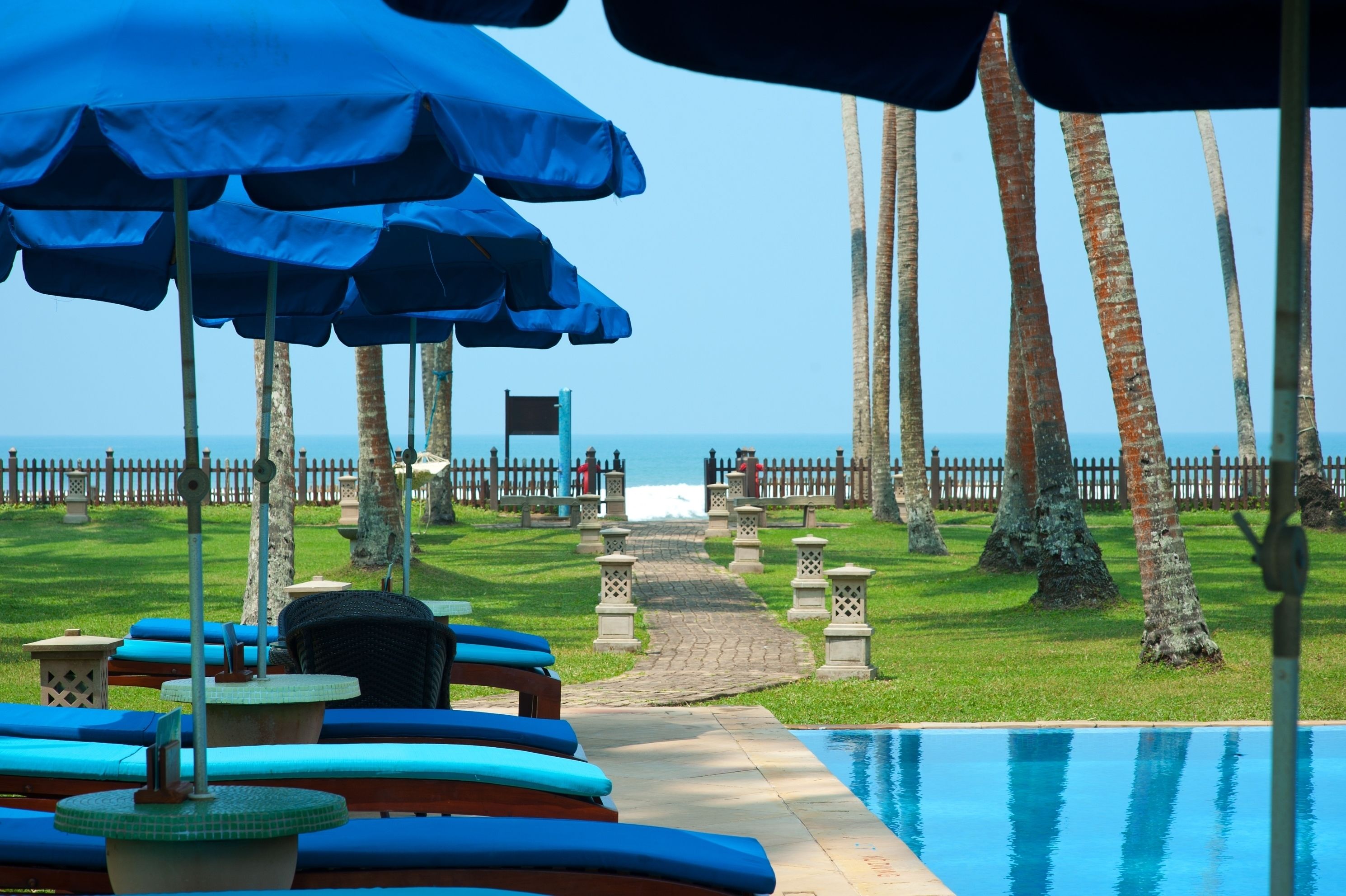 Piscine extérieure, chaises longues