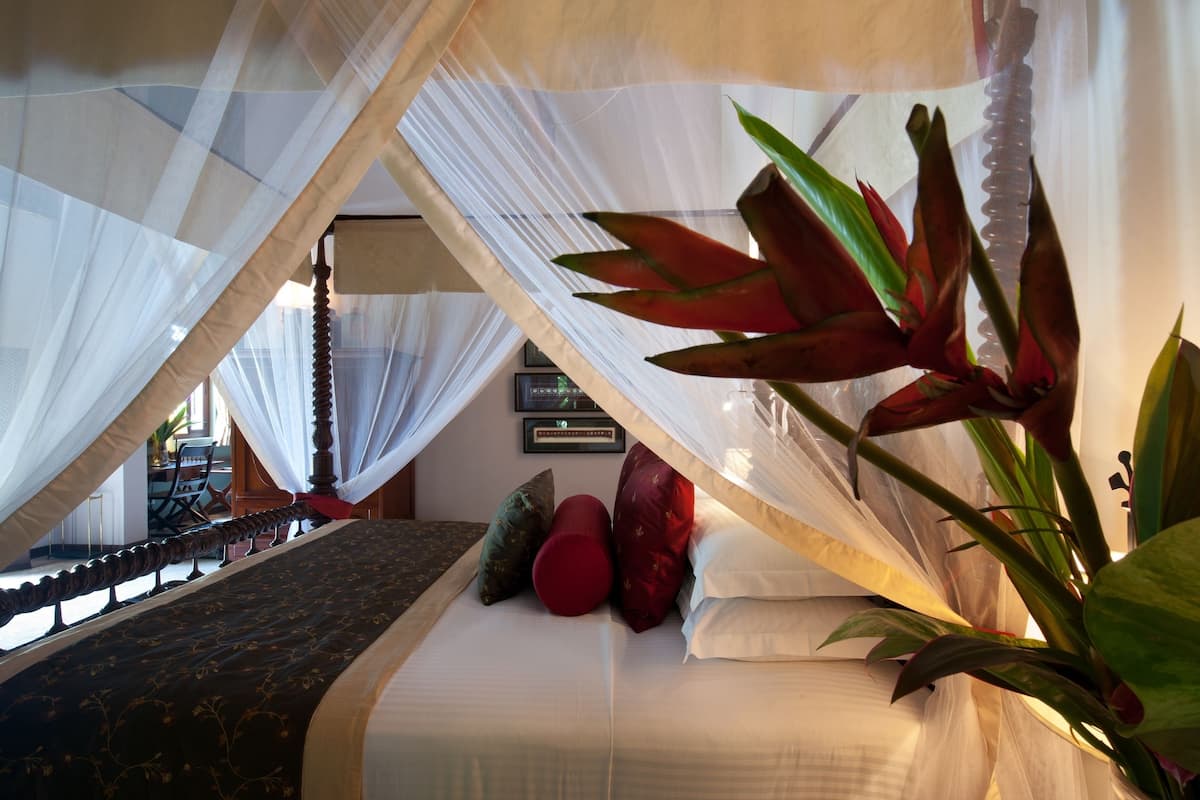 A bedroom with a canopy bed, a large potted plant, and a view of the outside.