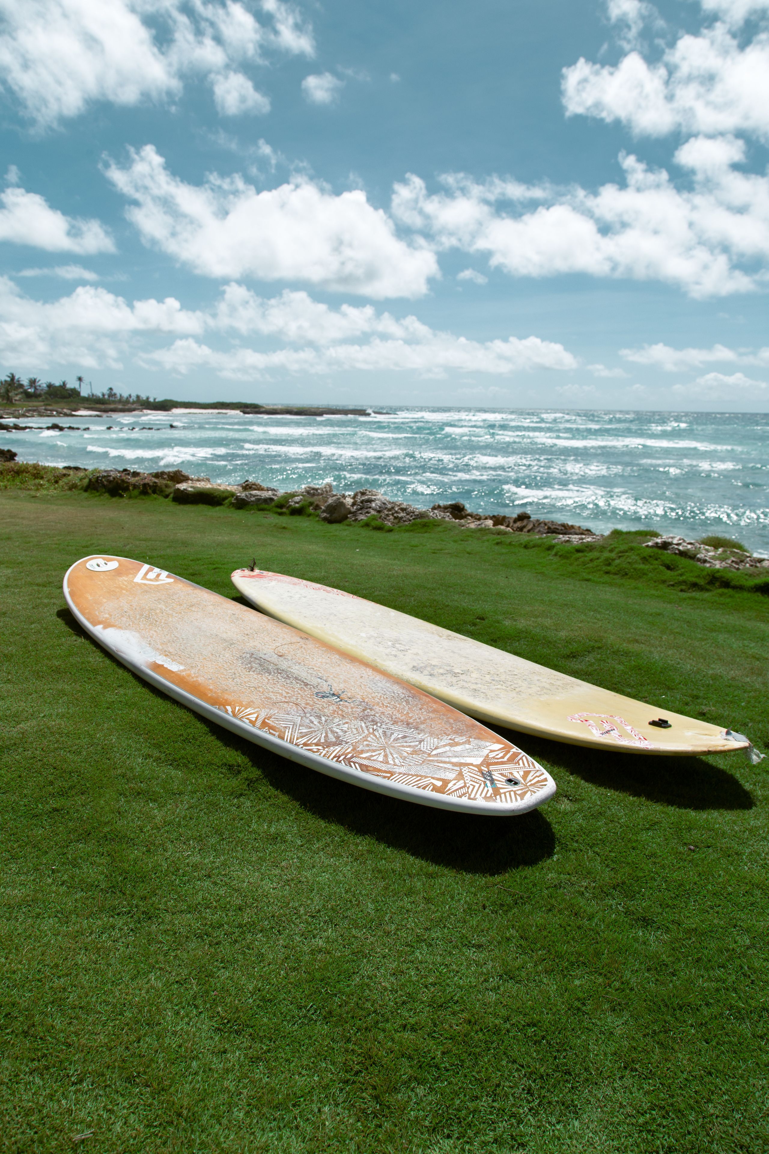 Two surfboards on a grassy area with a view of the ocean and rocky coastline.