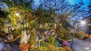 A well-maintained garden with various potted plants and a central fountain. - Colombe Hotel Boutique (Xalapa)
