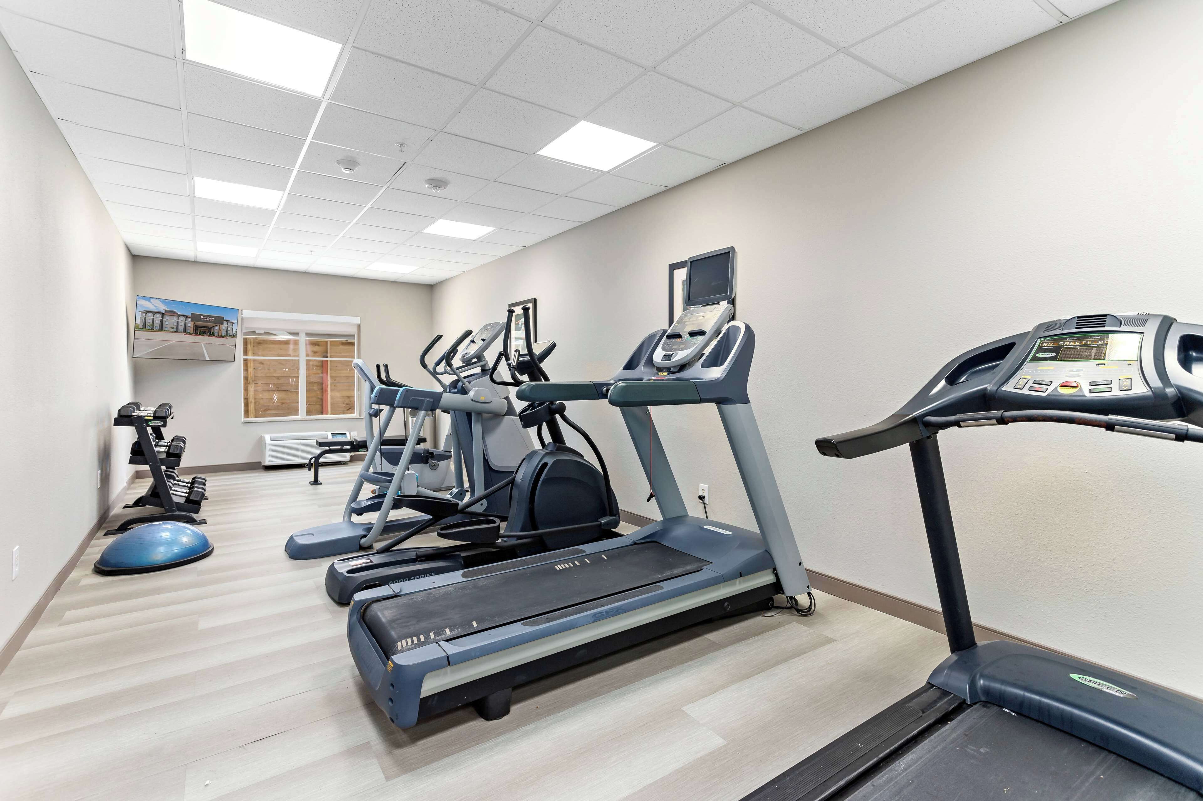 A fitness center with treadmills, elliptical machines, and exercise balls.