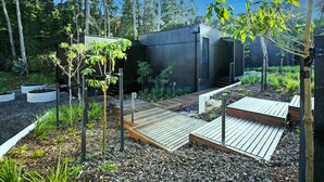 A modern outdoor area with a wooden deck, surrounded by a variety of plants and trees. - Hepburn at Hepburn (Hepburn Springs)