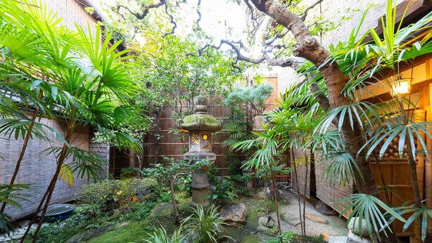 Un exuberante jardín con una fuente de piedra, bambú y diversas plantas.
