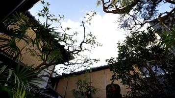 A traditional Japanese garden with a bamboo fence, a stone lantern, and various plants.