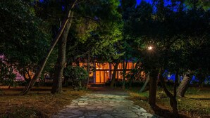 Un sendero de piedra que conduce a un edificio con iluminación cálida, rodeado de árboles.