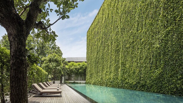 Zona junto a la piscina con sillones de descanso y una terraza de madera, rodeada de vegetación exuberante y un seto alto.