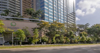 Park Avenue Rochester