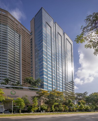 Park Avenue Rochester