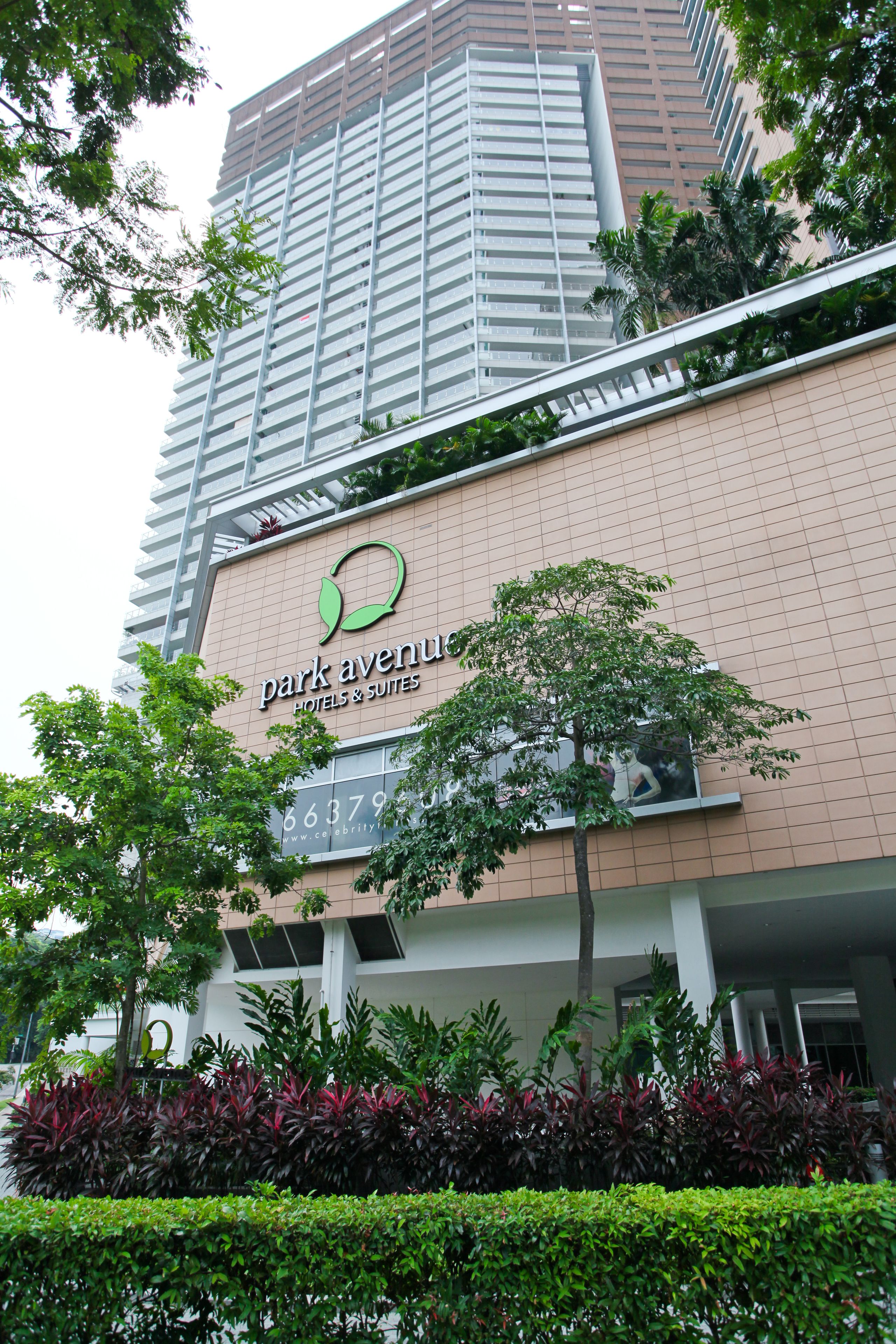 Foto - Park Avenue Rochester