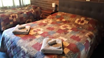 Deluxe Twin Room | Desk, iron/ironing board, cribs/infant beds, free WiFi