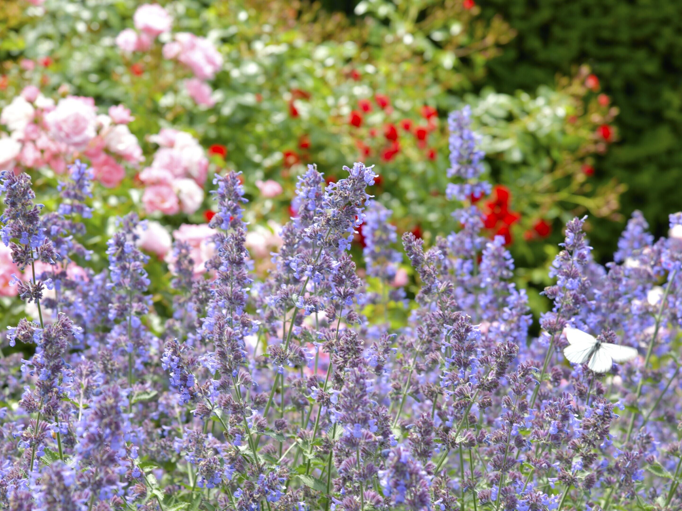 children’s play area – outdoor