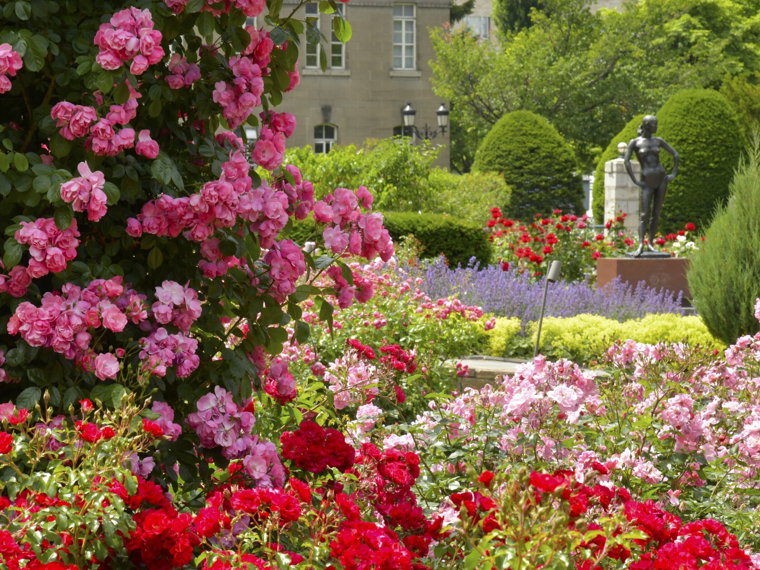 children’s play area – outdoor