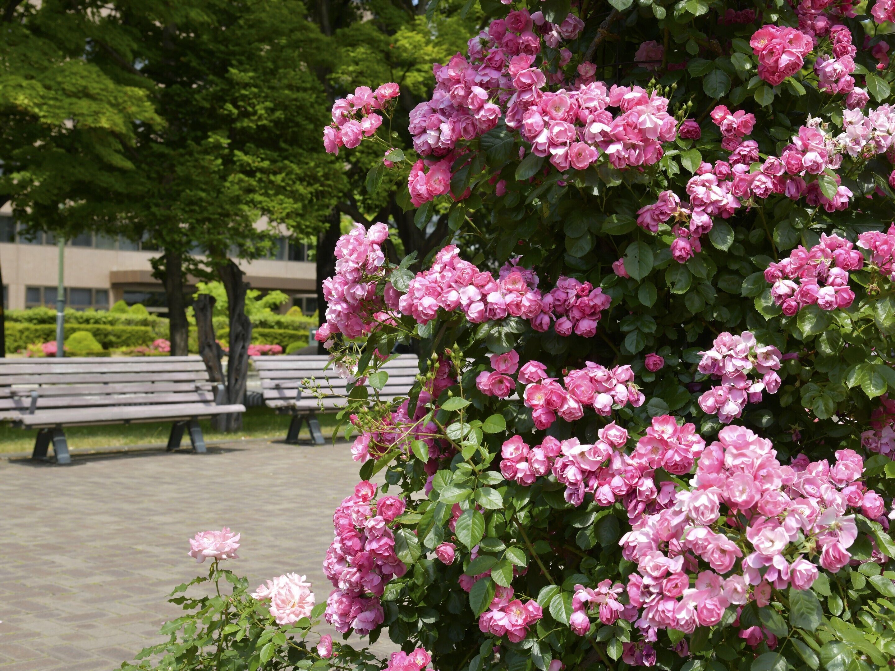 children’s play area – outdoor