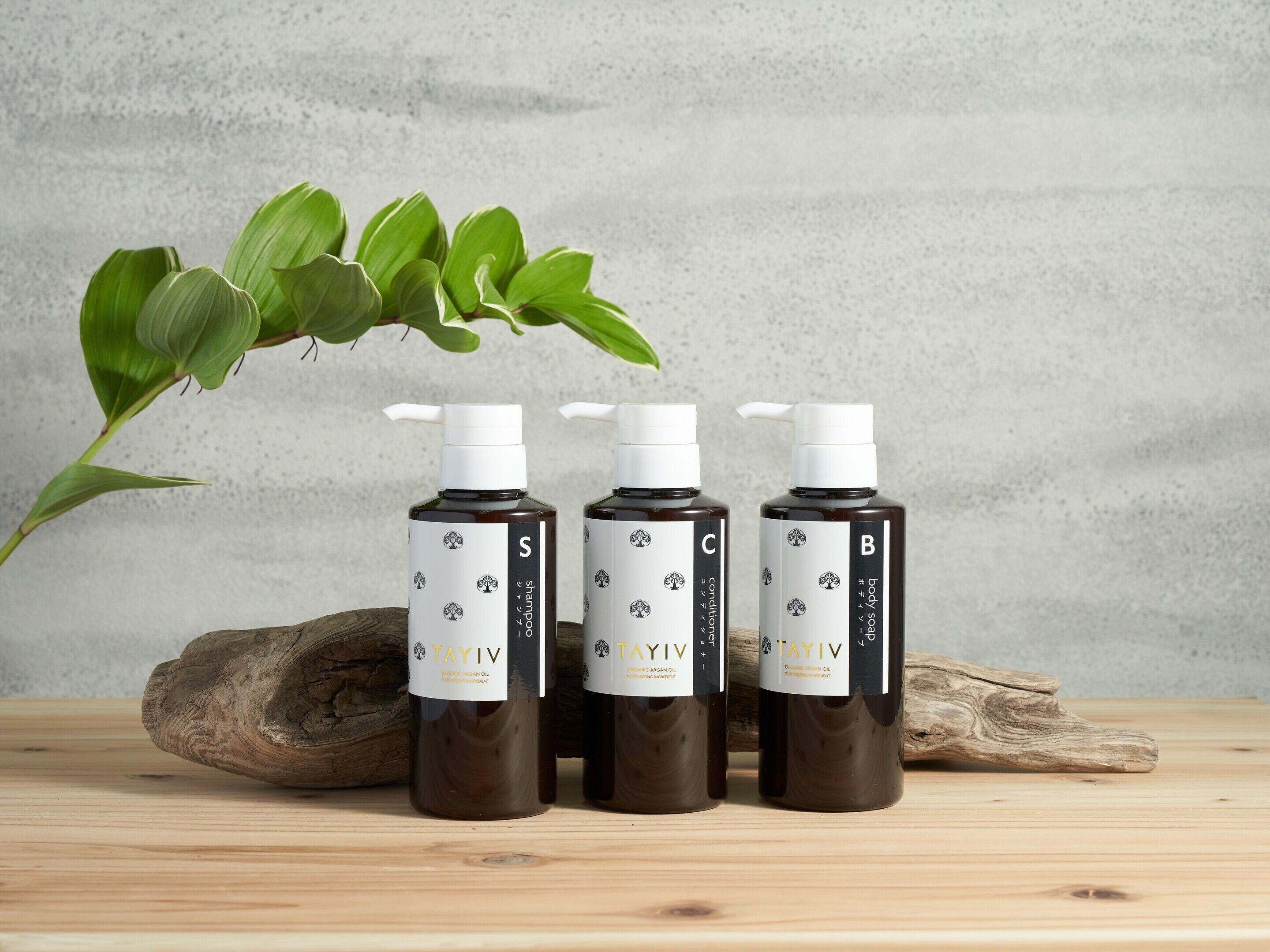 Three bottles of shampoo with white pumps and labels, placed on a wooden surface with a plant and a piece of wood in the background.
