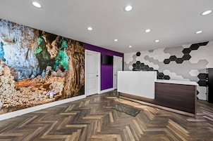 Un área de recepción moderna con suelo de madera en patrón de espiga, mostrador de recepción, pared de acento morada y un gran mural que representa una cueva.