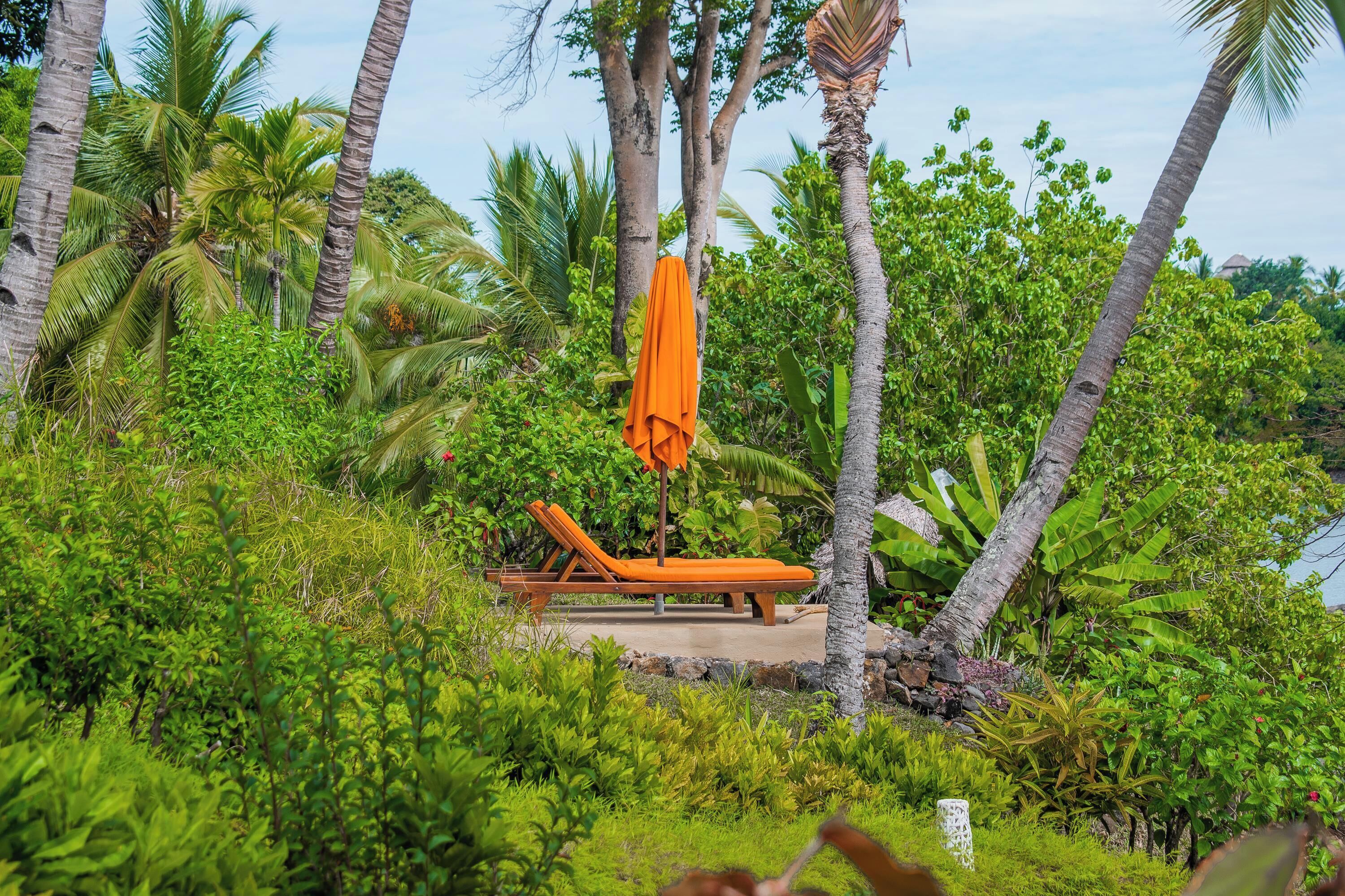 A tropical garden with a wooden lounge chair and an orange umbrella.