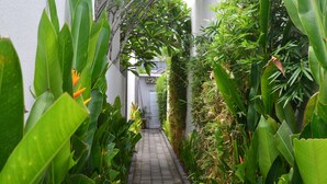 Un vialetto in mattoni, stretto e circondato da un verdeggiante fogliame e un edificio bianco con una porta e una finestra ben visibili.