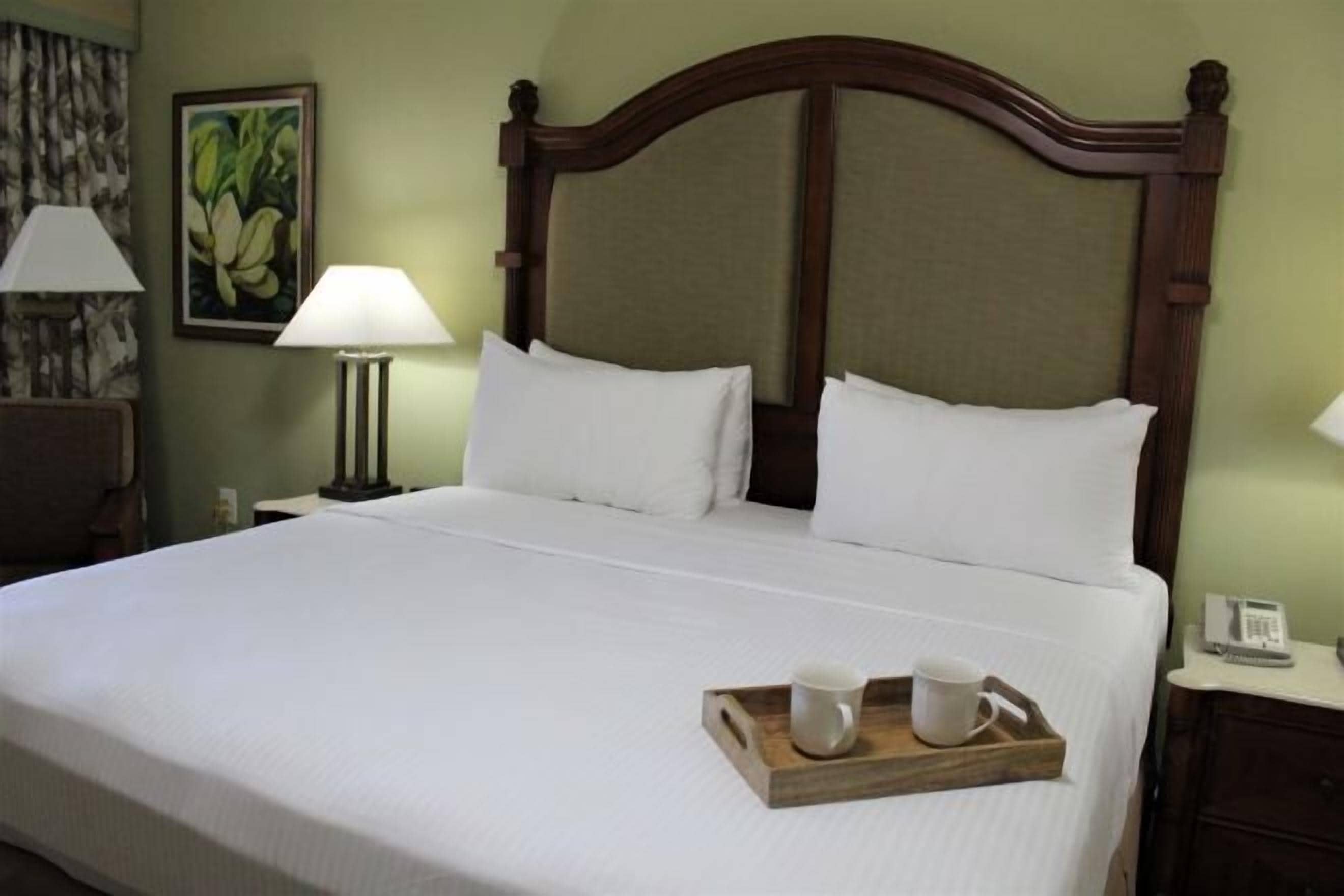 Premium bedding, in-room safe, desk, blackout drapes