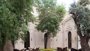 A courtyard with a central tree surrounded by seating and flower beds. - The Ritz-Carlton, Riyadh (Riyadh)