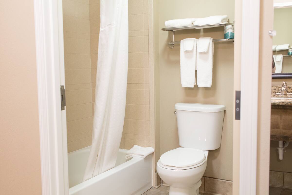 combined shower/bathtub, free toiletries, hair dryer, towels