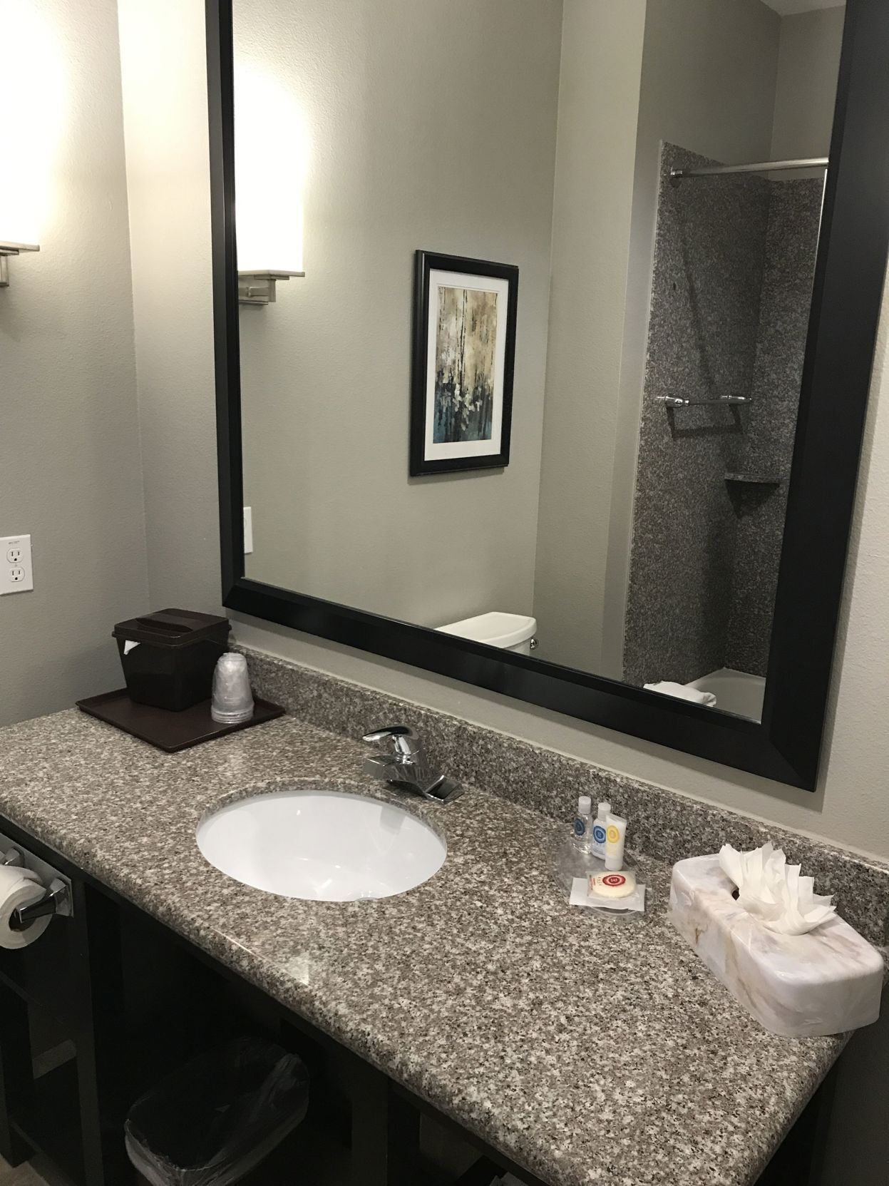 Combined shower/bathtub, free toiletries, hair dryer, towels